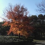 Thumbnail of post image 051