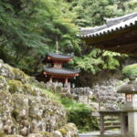 本堂前から多宝塔を見る