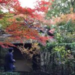 茶席「時雨亭」